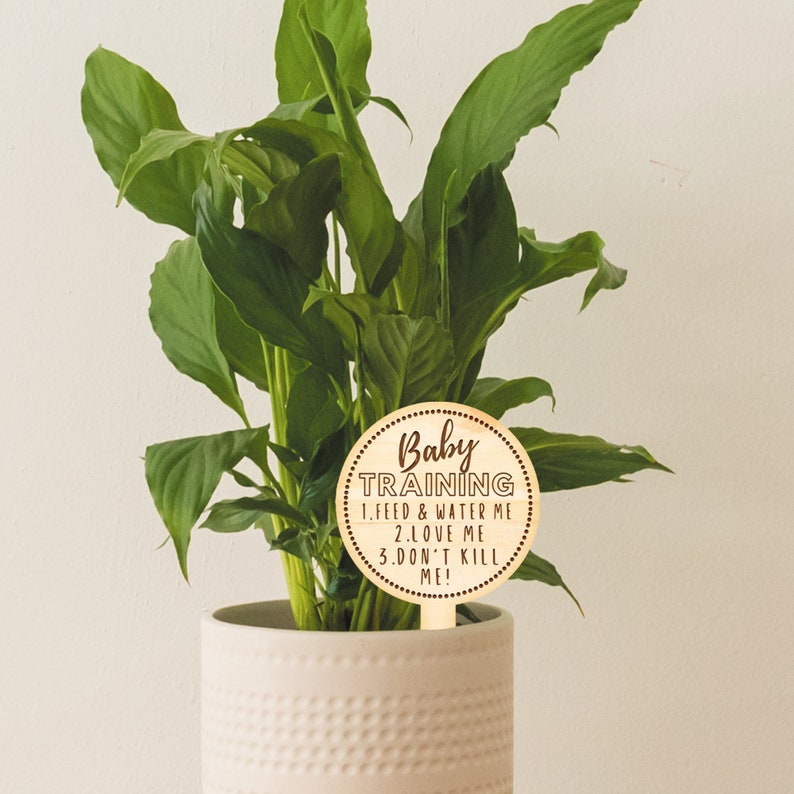 May include: A potted plant with large green leaves. A wooden plant stake with the words "Baby Training" and care instructions: "1. Feed & Water Me, 2. Love Me, 3. Don't Kill Me!" is placed in the pot.