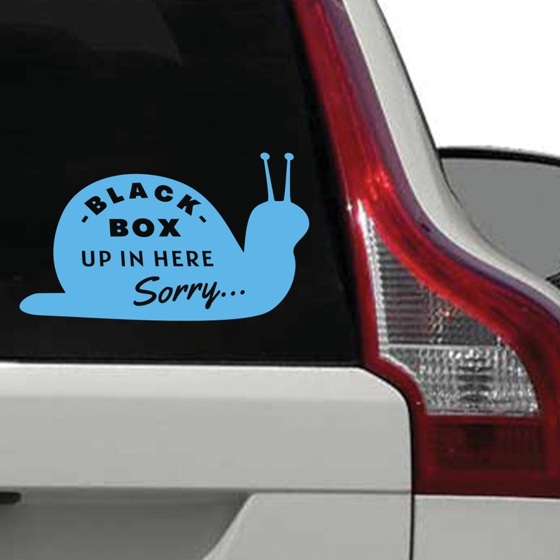 May include: A blue snail decal with the text "Black Box Up In Here Sorry..." on a car window.