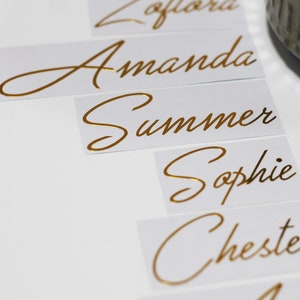 May include: Gold foil name place cards with the names Amanda, Summer, Sophie, and Chester written in cursive.