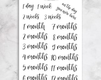 Baby Milestones Accomplishments Months Weeks Countdown Clear Vinyl Sticker Sheet | 17 stickers