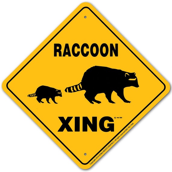 Raccoon Xing Sign Aluminum 12 in X 12 in #20744 - Etsy