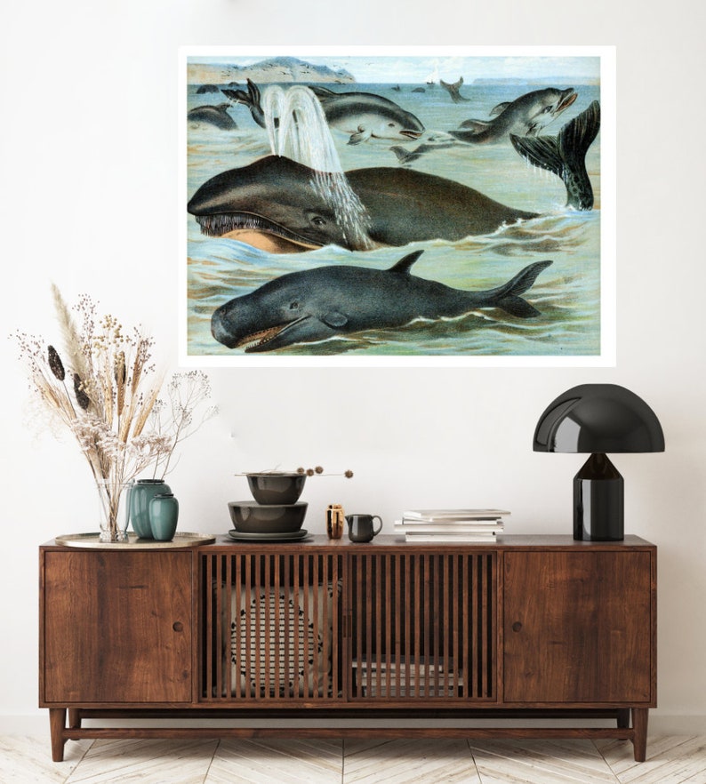 Wall Art Botanical Print Mammals in Nature Wildlife Print Nature Poster Animal Poster Vintage Print Wildlife Poster Whales