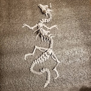 Articulated Dragon Skeleton - Not perfect designed by @doll_maker_spb