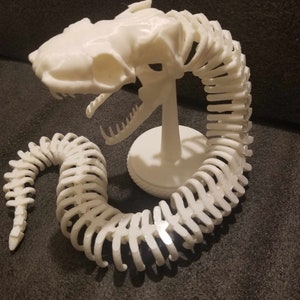 Articulated Snake Skeleton designed by Rogi Studios