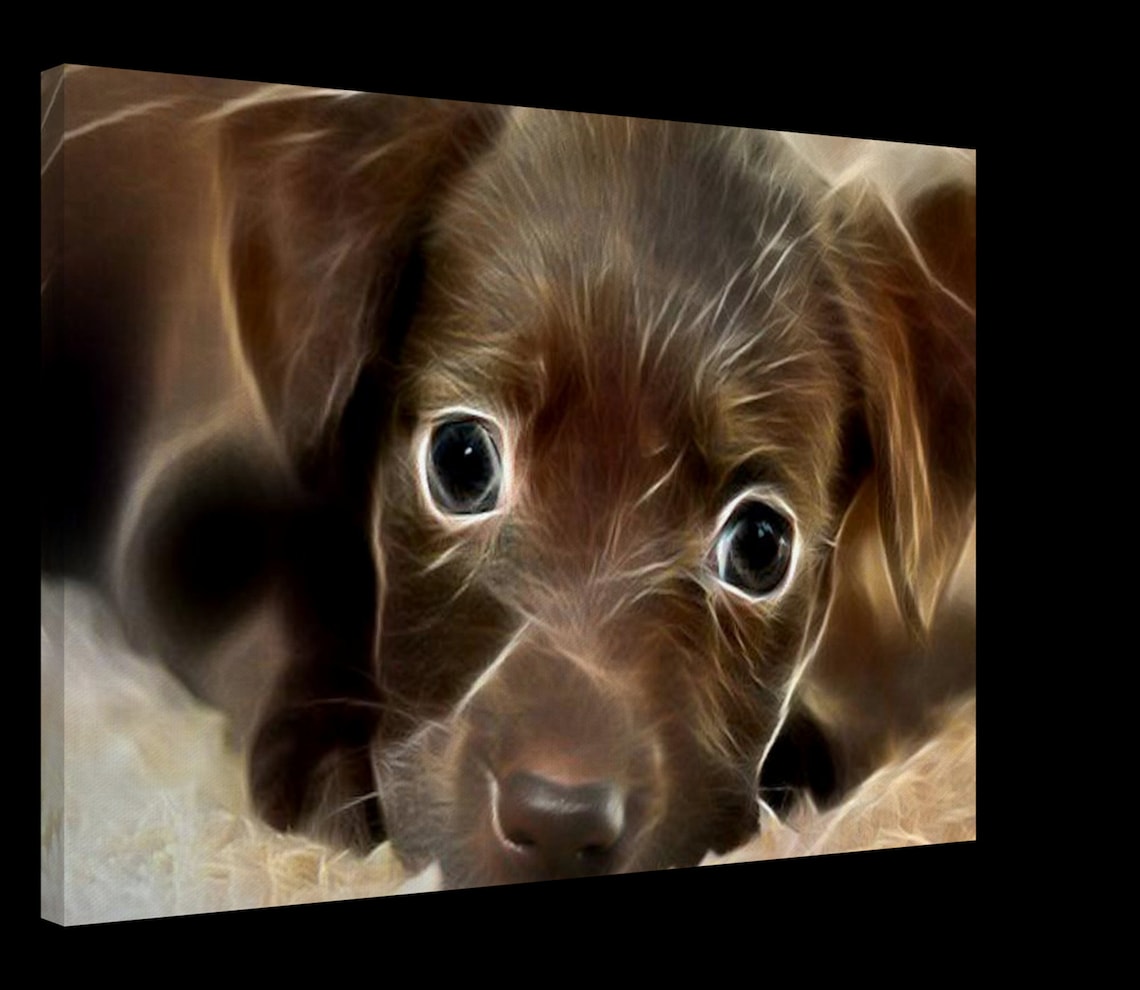 Dog Canvas Wall Art Unique Cute Puppy Prints Small and Etsy