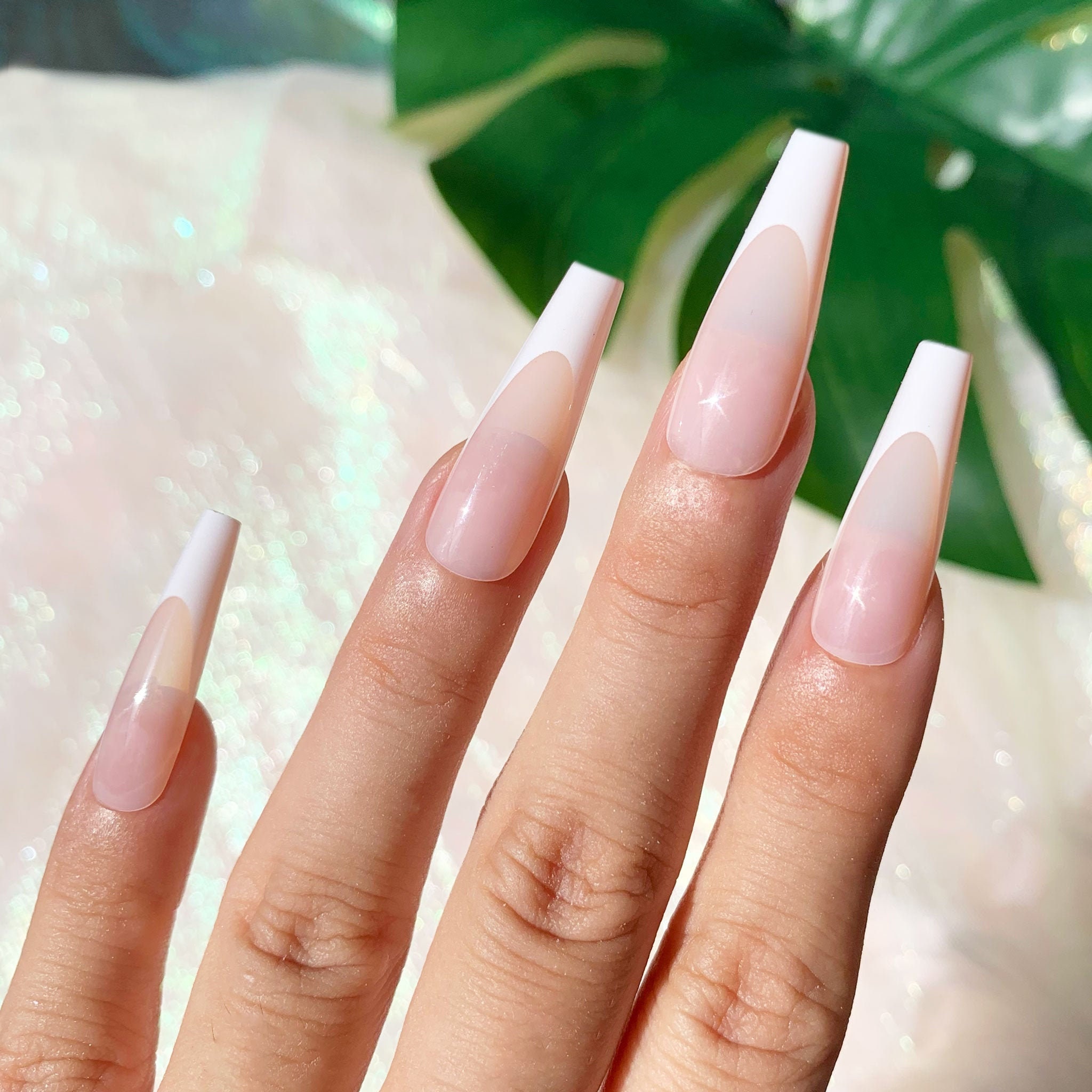 Classic White French Press on Nails French Coffin Manicure Etsy