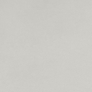 May include: A plain, solid, light gray background.
