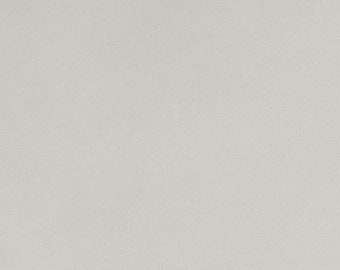 Shannon Fabrics Extra Breit 90 "Solid Cuddle 3 Platinum Minky Stoff