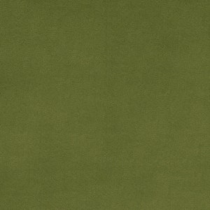 Shannon Fabrics Solid Cuddle 3 Kaktus Minky Stoff