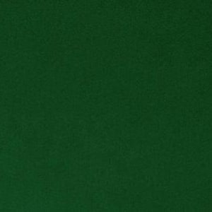 Shannon Fabrics Solid Cuddle 3 Evergreen Minky Stoff