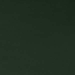 Könnte beinhalten: Einfarbiger dunkelgrüner Hintergrund mit abgerundeten Ecken. Die Farbe ist ein tiefes, gedämpftes Grün, ähnlich wie Wald- oder Olivtöne. Die Textur erscheint glatt und gleichmäßig.