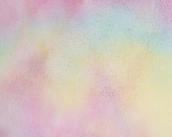 Shannon Fabrics Luxe Cuddle Bunny Fusion Pastel Minky Fabric