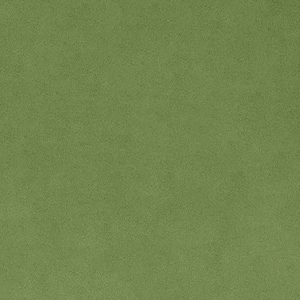 Shannon Fabrics Solid Cuddle 3 Olive Minky Stoff