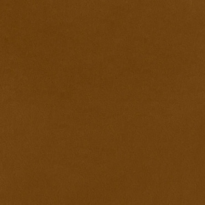 Shannon Fabrics Solid Cuddle 3 Caramel Minky Fabric