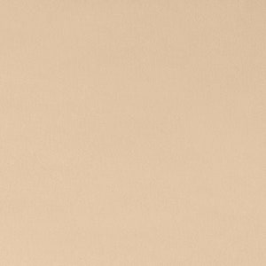 Shannon Fabrics Solid Cuddle 3 Latte Minky Fabric
