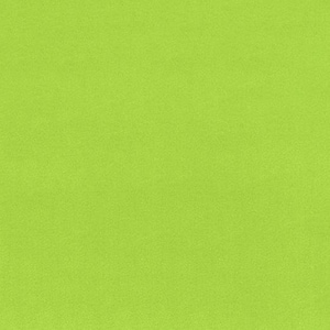 Shannon Fabrics Extra Wide 90&quot; Solid Cuddle 3 Dark Lime Minky Fabric