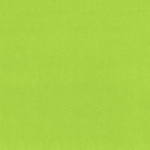 Shannon Fabrics Solid Cuddle 3 Dunkel Lime Grün Minky Stoff