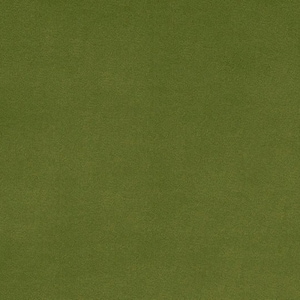 May include: A solid green fabric swatch. The fabric has a slightly textured surface.
