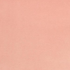 May include: A solid, peach-colored, textured background.