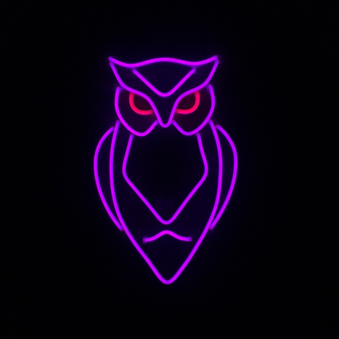 Flexible neon light OWL Etsy