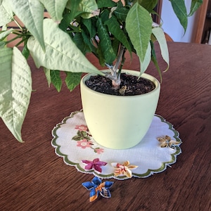 May include: A potted plant with green and white leaves sits on a white doily with a floral pattern. Four origami flowers are on the doily, one blue, one orange, and two pink.