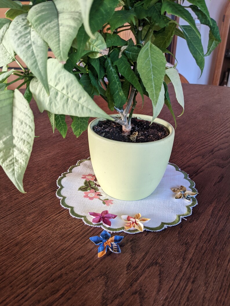 May include: A potted plant with green and white leaves sits on a white doily with a floral pattern. Four origami flowers are on the doily, one blue, one orange, and two pink.