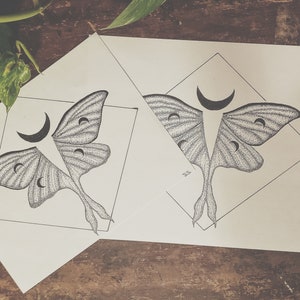 Dot Work Luna Moth Print Wall Art (8.5x11)