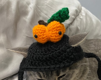 Crochet Halloween Pumpkin Cat Hat