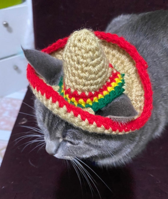 Crochet Cat Sombrero - Etsy Australia