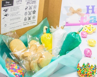 Spring/Easter cookies DIY Cookie Kit | Cookie kit| Cookie Decorating Kit | Birthday Gift| Decorate with children's| Easter Gift