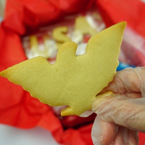 Fourth of July Cookie Kit Decorate your own cookie kit Independence Day Cookie Kit DIY Cookie Kit Patriotic Cookie Decorating Kit image 7