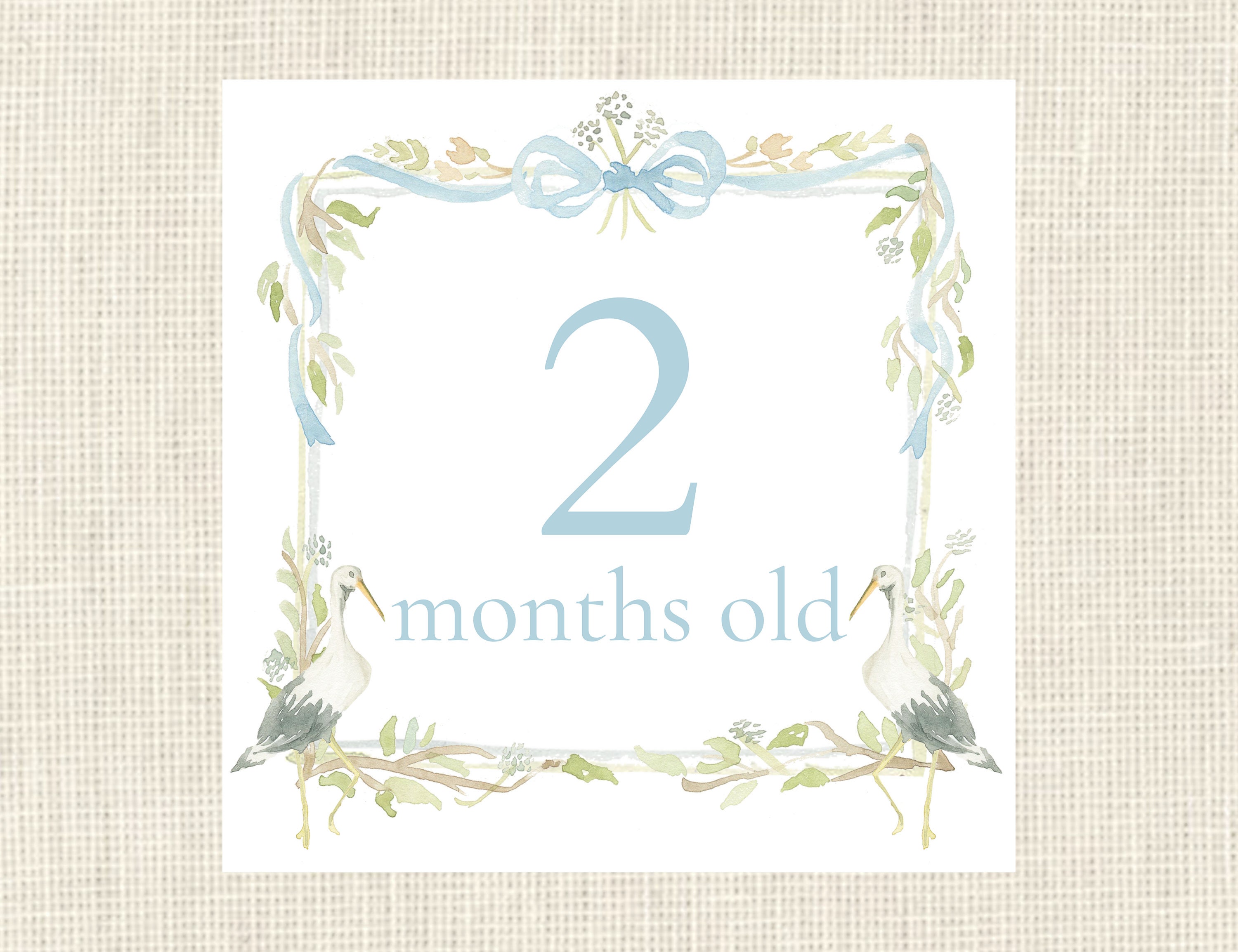 Watercolor Blue Baby Boy Stork Milestone Cards / Floral Crest / Gift ...