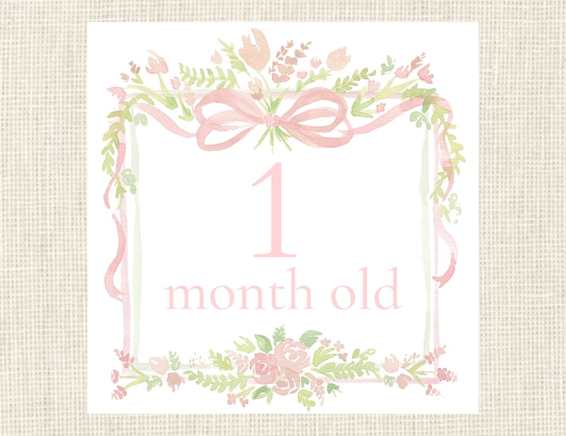 Watercolor Pink Baby Milestone Cards / Floral Crest / Gift / Baby ...