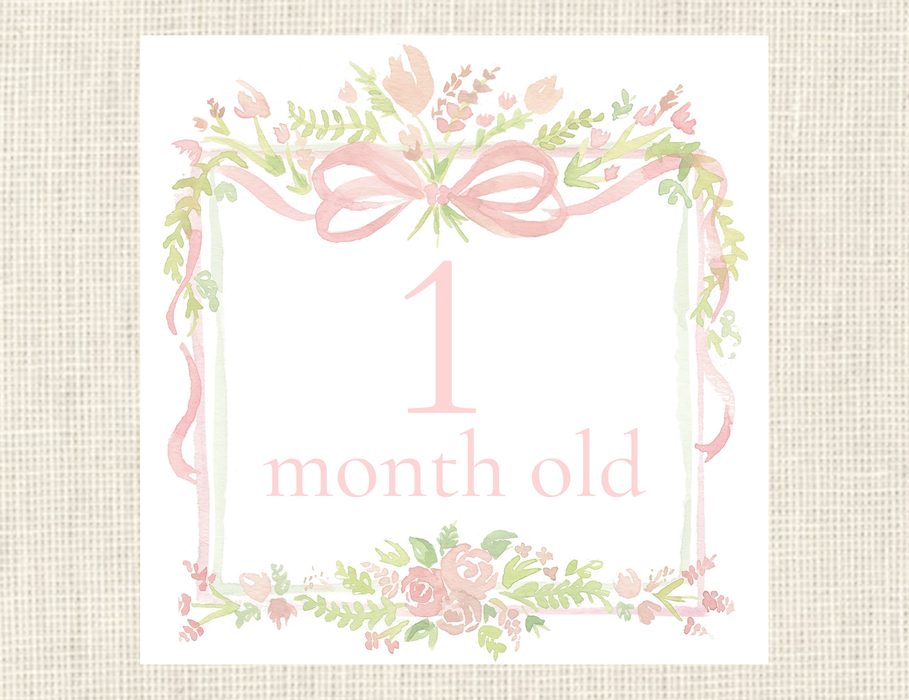 Watercolor Pink Baby Milestone Cards / Floral Crest / Gift / Baby ...