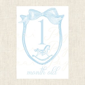 Watercolor Baby Milestone Cards Two Sided / Floral Crest / Gift / Baby ...