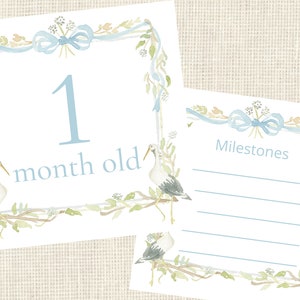 Watercolor Blue Baby Boy Stork Milestone Cards / Floral Crest / Gift ...