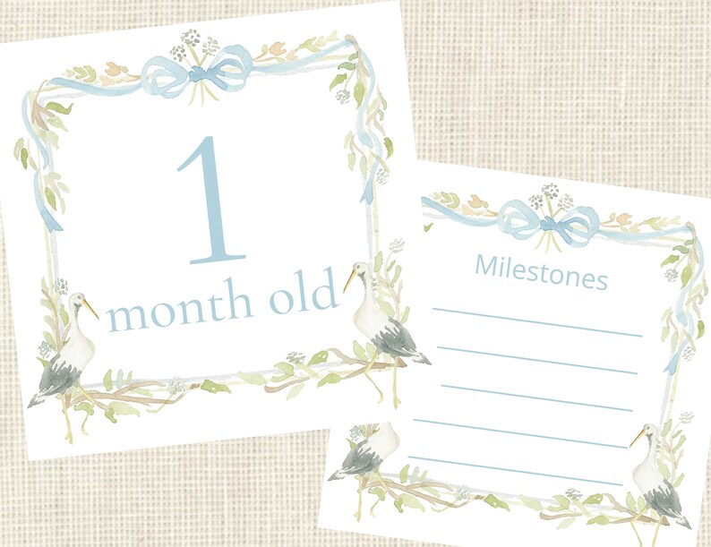 Watercolor Blue Baby Boy Stork Milestone Cards / Floral Crest / Gift ...