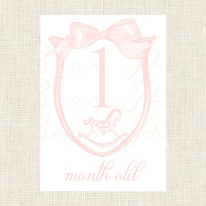 Watercolor Baby Milestone Cards Two Sided / Floral Crest / Gift / Baby ...