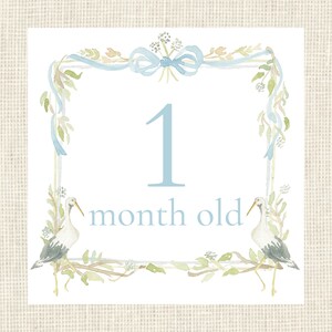 Watercolor Blue Baby Boy Stork Milestone Cards / Floral Crest / Gift ...