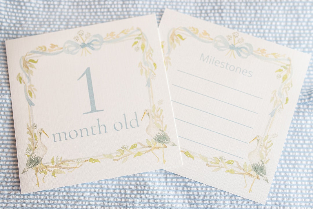 Watercolor Blue Baby Boy Stork Milestone Cards / Floral Crest / Gift ...