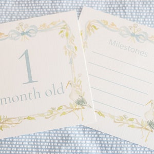 Watercolor Blue Baby Boy Stork Milestone Cards / Floral Crest / Gift / Baby Shower / Classic