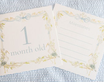 Watercolor Blue Baby Boy Stork Milestone Cards / Floral Crest / Gift / Baby Shower / Classic