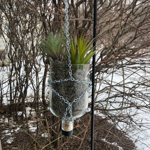 Glass Bottle Planter Etsy