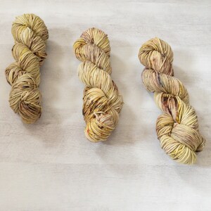 Hand dyed worsted - Garden Party