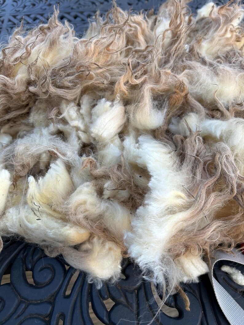 Wool Unprocessed Navajo Churro Raw Wool. .94lb. for Authentic Woven Rugs, Blankets and ...