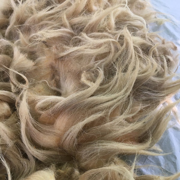 Beautiful Karakul Raw Wool. 1/2 lb SE2SE
