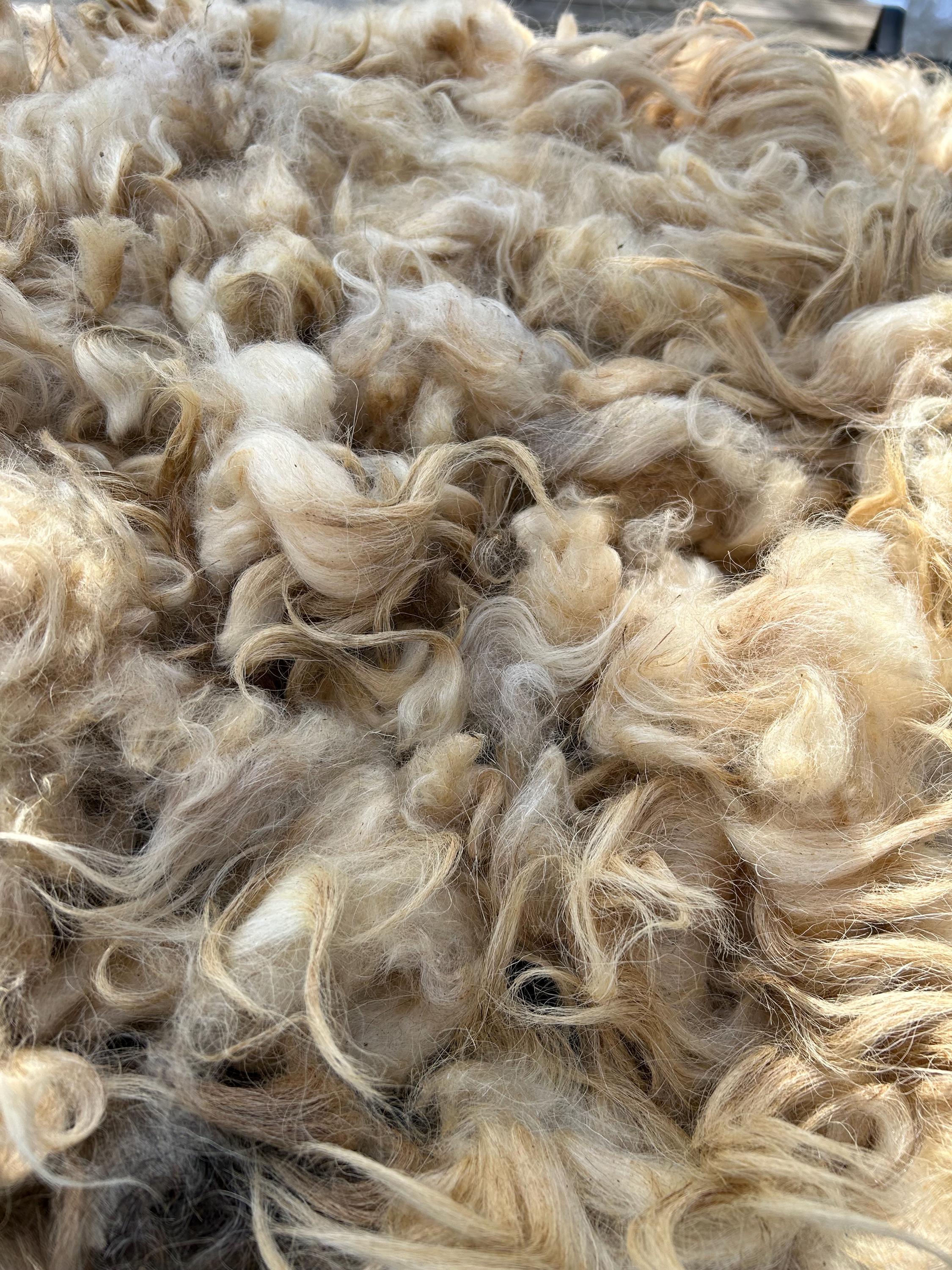 Raw wool fleece - Etsy 日本