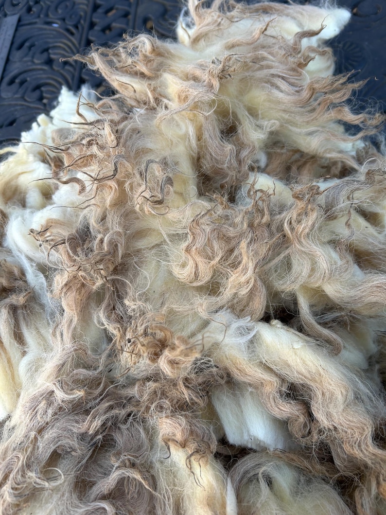 Wool Unprocessed Navajo Churro Raw Wool. .94lb. for Authentic Woven Rugs, Blankets and ...