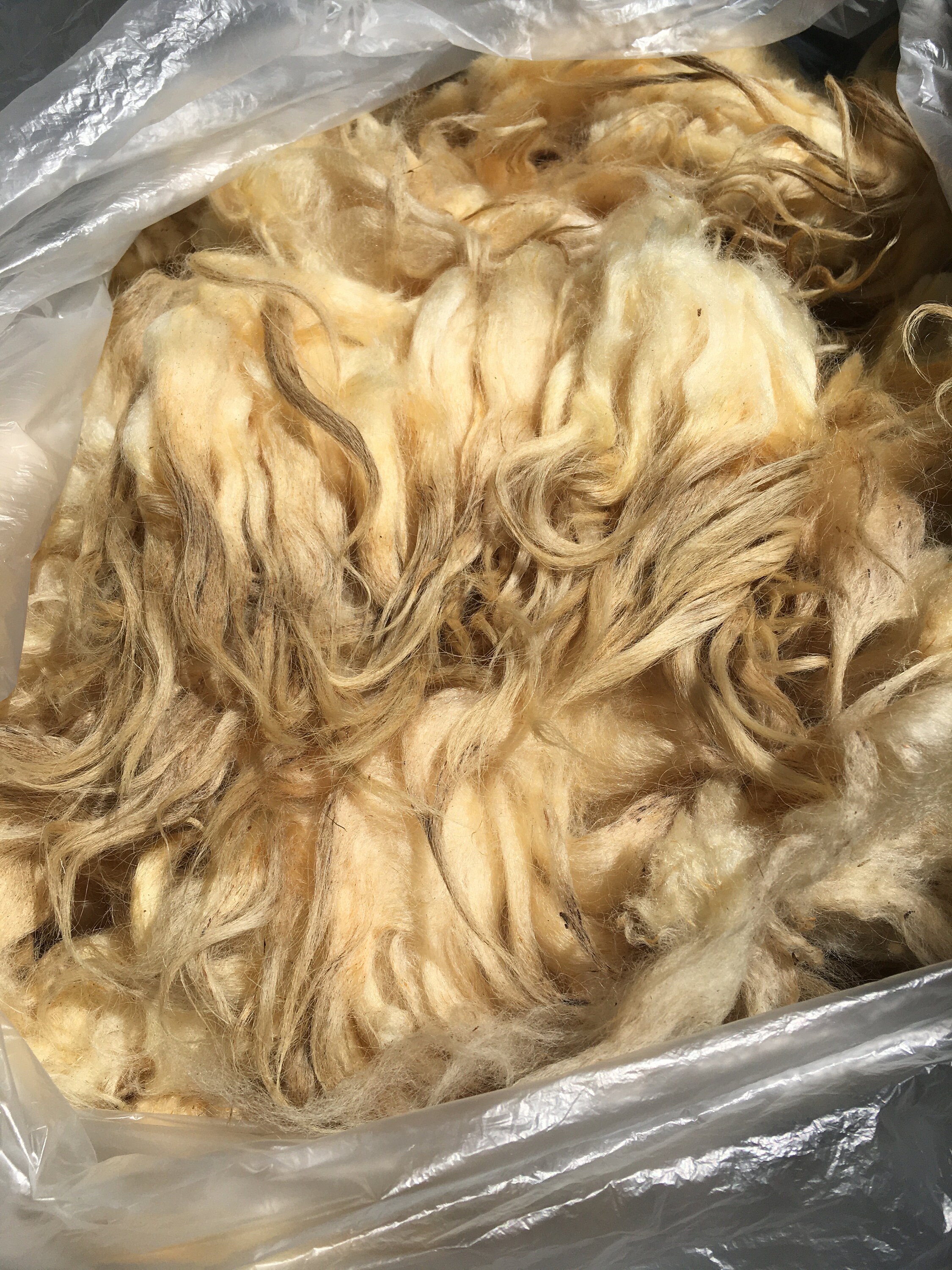 Beautiful Karakul Raw wool 31/4 lbs Etsy