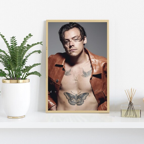 Harry Stylesalbum Cover Artalbum Etsy Harry Stylesalbum Cover Artalbum Etsy